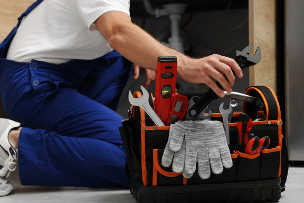 Best Toilet Repair Services  in Lavalette, WV